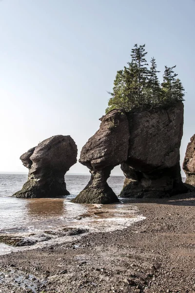 Slavný Hopewell Rocks geologigal formace v nízkých příliv a odliv největší přílivová vlna Fundy Bay New Brunswick Kanada — Stock fotografie