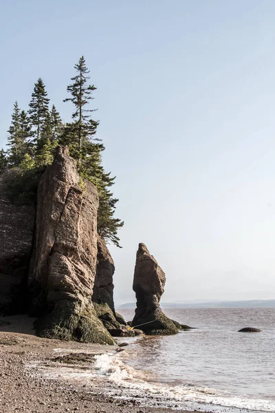 En büyük deprem dalgası Fundy Körfezi New Brunswick Kanada ünlü Hopewell kayalar geologigal oluşumları, düşük gelgit — Stok fotoğraf