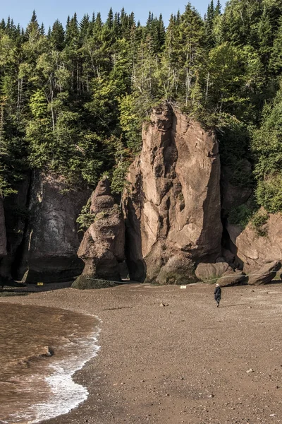 Ünlü Hopewell kayalar geologigal oluşumları düşük yürüyen kadın en büyük deprem dalgası Fundy Körfezi New Brunswick Kanada gelgit — Stok fotoğraf