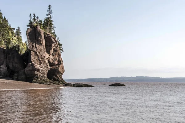 En büyük deprem dalgası Fundy Körfezi New Brunswick Kanada ünlü Hopewell kayalar geologigal oluşumları, düşük gelgit — Stok fotoğraf