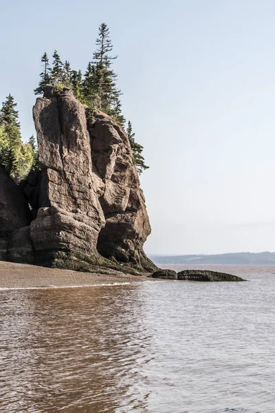 En büyük deprem dalgası Fundy Körfezi New Brunswick Kanada ünlü Hopewell kayalar geologigal oluşumları, düşük gelgit — Stok fotoğraf