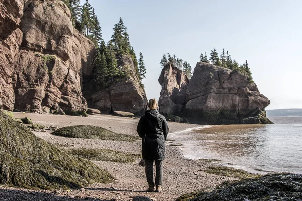 在低的著名 Hopewell 岩石 geologigal 群潮最大的潮汐波芬迪湾加拿大新不伦瑞克 — 图库照片