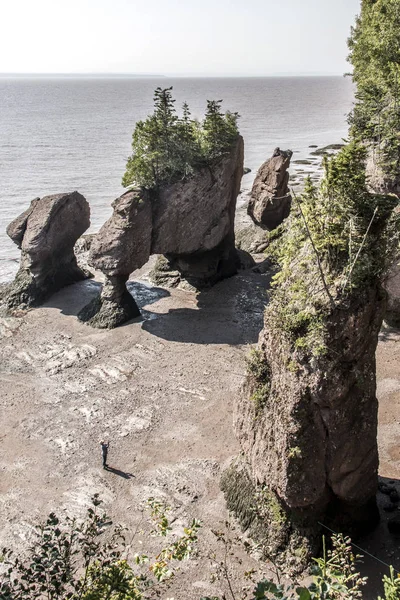 En büyük deprem dalgası Fundy Körfezi New Brunswick Kanada ünlü Hopewell kayalar geologigal oluşumları, düşük gelgit — Stok fotoğraf