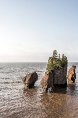 Sunrise ünlü Hopewell kayalar geologigal oluşumları düşük tide en büyük deprem dalgası Fundy Körfezi New Brunswick Kanada