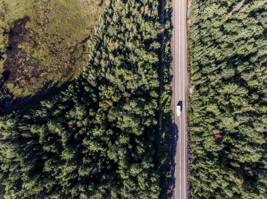 güzel Kanada camper otobüs yol sonsuz çam ağacı ormanda göller moor arazi havadan görünümü seyahat arka plan ile sürüş