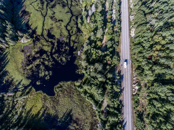 Piękny Kanada camper autobus jazdy na drodze niekończące się sosnowym lasem z jezior moor Ziemia z lotu ptaka podróży tło — Zdjęcie stockowe