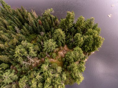 Güzel küçük ada ormanı sakin göl kıyısı yakınında Algonquin Park Türkiye ile