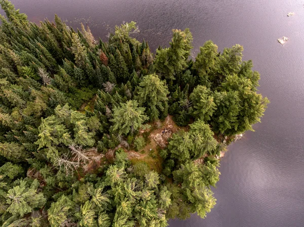 Bella piccola isola con foresta riva lago calma vicino Algonquin Park Canada — Foto Stock