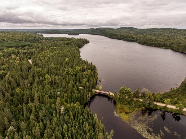 Divoké obrovské borového lesa a jezera dělí starý dřevěný most v Kanadě Camping — Stock fotografie