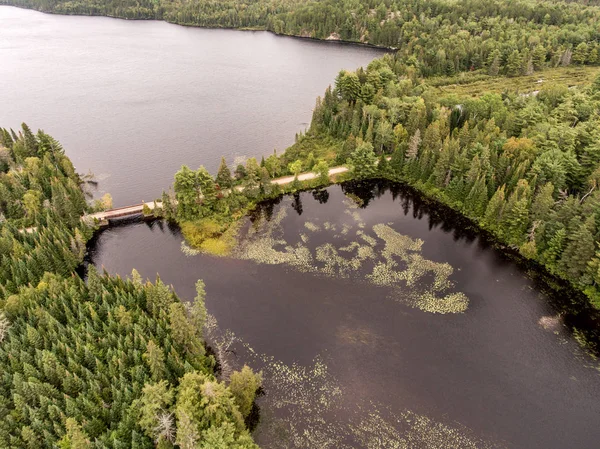 Vilda stor pinjeskog och sjön delar gamla träbro i Kanada Camping — Stockfoto