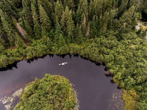 野生の森カナダ aearial ビュー カヤック カヤック カヌー カヌー ボート川鳥の目のビューの静脈大自然松の木 — ストック写真