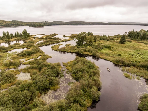 Vilda skogen Kanada aearial Visa kajak kajak kanot paddling båt river fåglar öga Visa venerna Moder natur tall träd — Stockfoto
