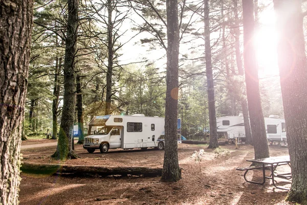 İki nehir kamp Algonquin Milli Parkı güzel doğal orman manzara Kanada Rv Park camper araba Gölü