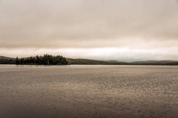 Canada Ontario Lago due fiumi grigio mattina atmosfera scura piccola isola pinetree sull'acqua Algonquin National Park — Foto Stock