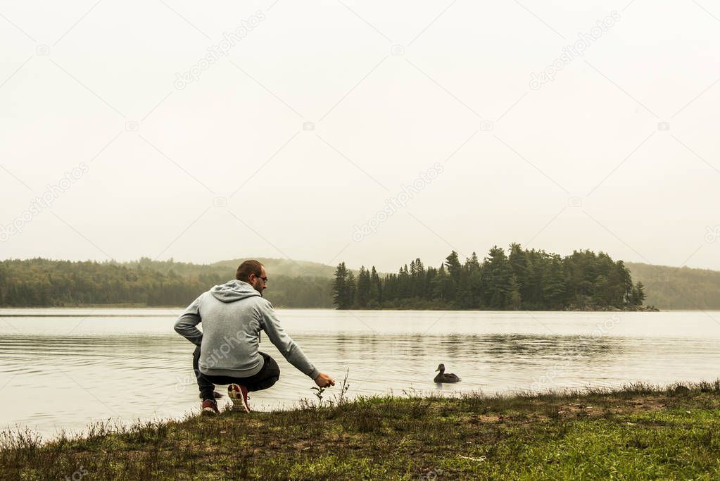 Man watching feeding ducks standing at lake of two rivers algonquin national park Ontario Canada grey morning atmosphere