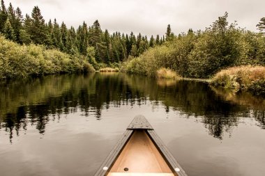 Kano burun sakin barışçıl oldukça Lake Algonquin Park, Ontario Kanada ağaç yansıma kıyı çam ağacı orman sahil hattı