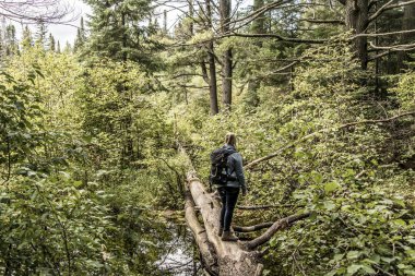Algonquin Milli Parkı'nda su yakınında iki nehrin doğal tabiat manzarası içinde Kanada Ontario Gölü hiking kız