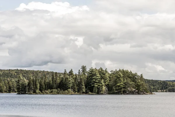 Canada Ontario Lago di due fiumi paesaggio naturale selvaggio vicino all'acqua nel Parco Nazionale di Algonquin — Foto Stock