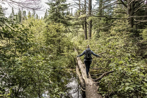 Algonquin Milli Parkı'nda su yakınında iki nehrin doğal tabiat manzarası içinde Kanada Ontario Gölü hiking kız — Stok fotoğraf