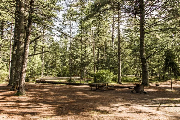 Tienda de campaña vacía Camping Lago de dos ríos Parque Nacional Algonquin Hermoso paisaje forestal natural Canadá —  Fotos de Stock