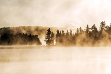 İki nehir algonquin Milli Parkı ontario Gölü sis sisli mistik atmosferi arka plan ile Kanada gün batımı gündoğumu