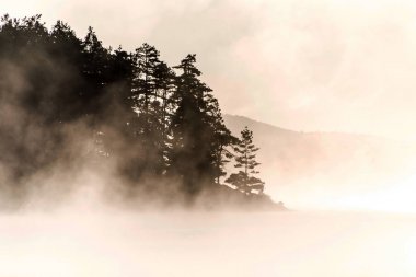İki nehir algonquin Milli Parkı ontario Gölü sis sisli mistik atmosferi arka plan ile Kanada gün batımı gündoğumu