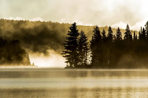 Lago de dos ríos algonquin parque nacional ontario canada puesta del sol amanecer con niebla niebla ambiente místico fondo —  Fotos de Stock