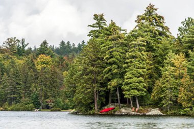 Kırmızı sandalye su Algonquin Milli Parkı'nda iki nehrin doğal tabiat manzarası içinde Kanada Ontario Gölü sakin ol