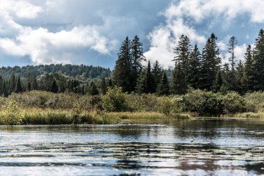 Kanada Ontario Gölü yakınındaki su Algonquin Milli Parkı'nda iki nehrin doğal Tabiat Manzarası