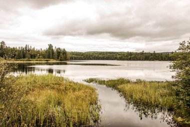 Kanada Ontario Gölü yakınındaki su Algonquin Milli Parkı'nda iki nehrin doğal Tabiat Manzarası