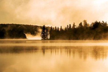 İki nehir algonquin Milli Parkı ontario Gölü sis sisli mistik atmosferi arka plan ile Kanada gün batımı gündoğumu
