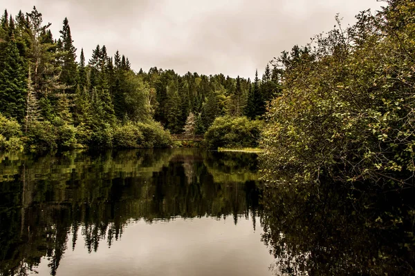 Jeziora Ontario Kanada dwóch rzek naturalne dzikiego krajobrazu w pobliżu wody w Algonquin Park Narodowy — Zdjęcie stockowe