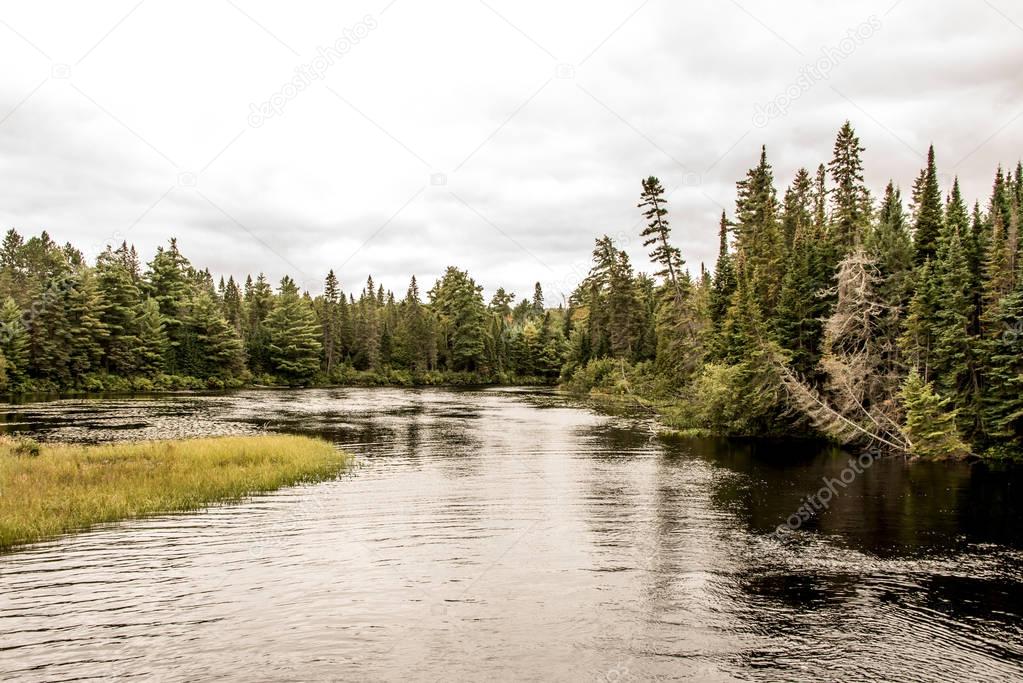 Canada Ontario Lake of two rivers natural wild landscape near the water in Algonquin National Park
