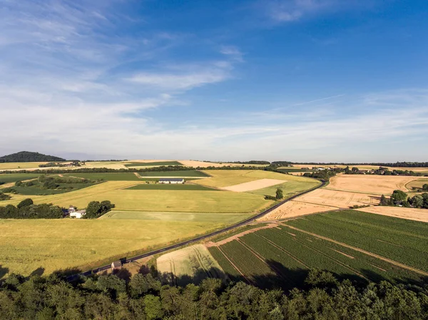 Aerial view of agricultural fields in spring with blue sky in germany — Stock Photo, Image