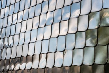 Balık doku gümüş metal şekil duvar kapağı krom yansıma arka plan ölçek