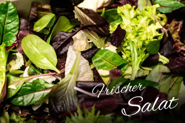 Frischer salat bedeutet frischer salat mit gemischtem grünen salat rucola mesclun mache aus der nähe gesunde kost mahlzeit — Stockfoto