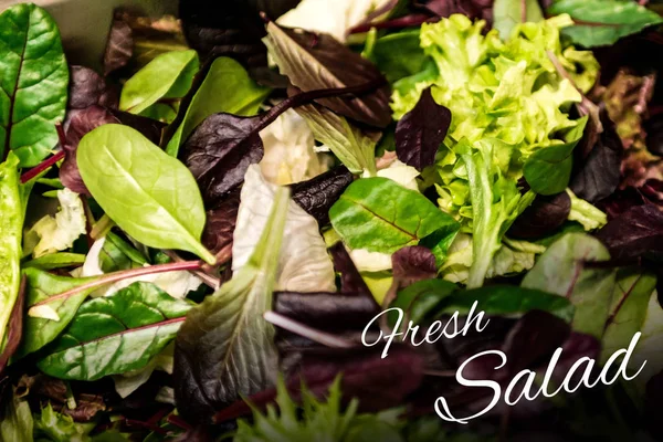 Frischer Salattext mit gemischtem Gemüse Salat Rucola Mesclun mache Nahaufnahme gesunde Nahrung Mahlzeit — Stockfoto