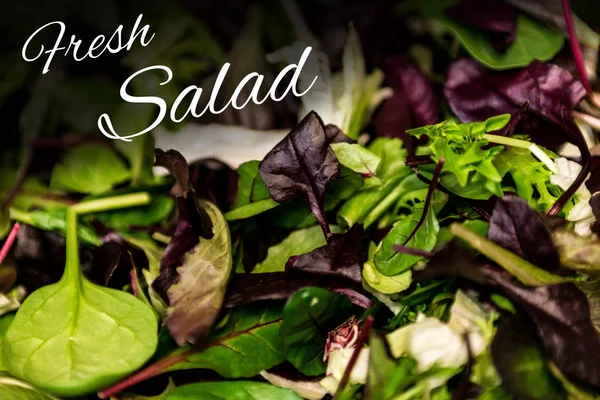 Frischer Salattext mit gemischtem Gemüse Salat Rucola Mesclun mache Nahaufnahme gesunde Nahrung Mahlzeit — Stockfoto