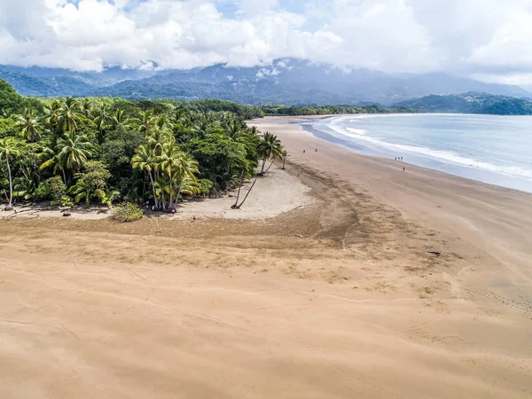 Αεροφωτογραφία Εθνικό Πάρκο Punta Uvita Όμορφη παραλία τροπικό δάσος ακτή Ειρηνικού Κόστα Ρίκα σχήμα ουρά φάλαινας — Φωτογραφία Αρχείου