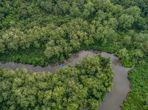 Letecký pohled na loď v mangrovu Rio Sierpe řeka v Kostarice hluboko v džungli — Stock fotografie