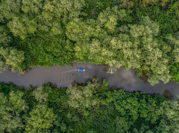 Widok z powietrza łodzi w namorzynie Rio Sierpe rzeki w Kostaryce głęboko wewnątrz dżungli — Zdjęcie stockowe