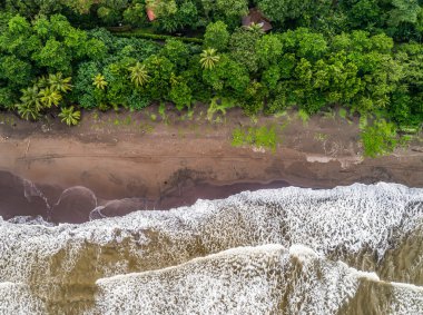 Tortuguero National Park turtle beach coast Costa Rica aerial plane view clipart