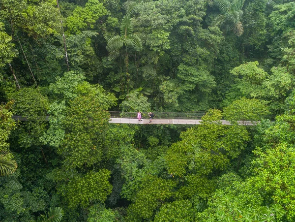 Pár procházky přes mystico visící mosty v La Fortuna deštných pralesů letecké drone pohled v Kostarice džungle — Stock fotografie