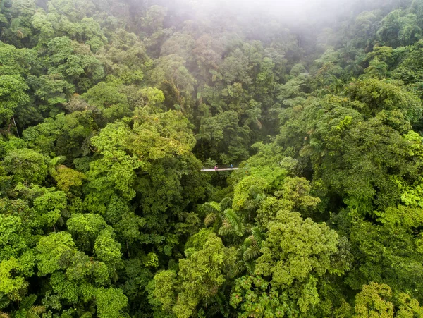 Pár procházky přes mystico visící mosty v La Fortuna deštných pralesů letecké drone pohled v Kostarice džungle — Stock fotografie