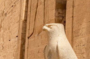 Eski Mısır mimarisi kalıntıları. Edfu, Mısır 'daki Horus Tapınağı' nın hiyeroglifleri ve sütunları.