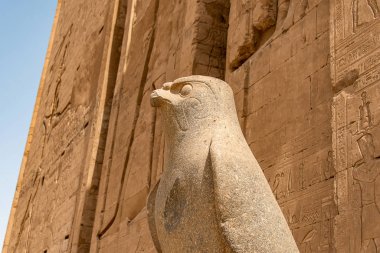 Eski Mısır mimarisi kalıntıları. Edfu, Mısır 'daki Horus Tapınağı' nın hiyeroglifleri ve sütunları.