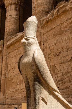 Eski Mısır mimarisi kalıntıları. Edfu, Mısır 'daki Horus Tapınağı' nın hiyeroglifleri ve sütunları.