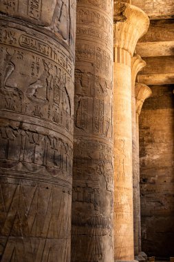 Eski Mısır mimarisi kalıntıları. Edfu, Mısır 'daki Horus Tapınağı' nın hiyeroglifleri ve sütunları.