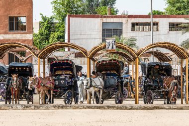 Edfu, Mısır 19.05.2018. Limandaki turistler için yerel at arabası ve Horus Tapınağı turu.