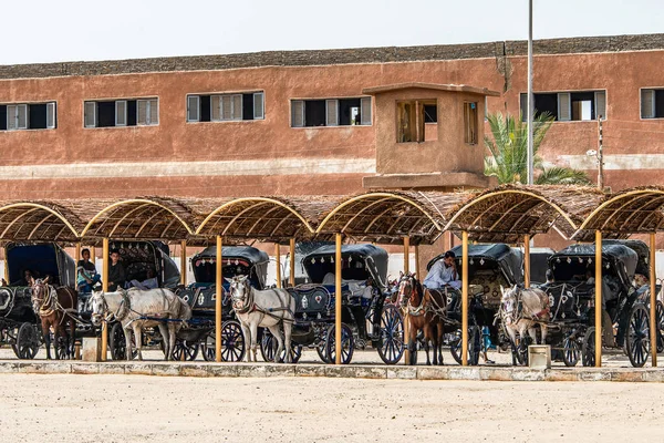 EDFU, EGITTO 19.05.2018 Passeggiata a cavallo locale per turisti vicino al molo ed escursione al Tempio di Horus — Foto Stock